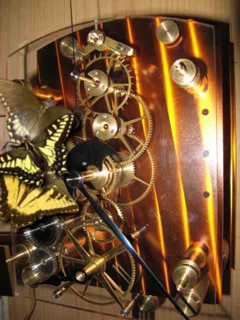 Bild
